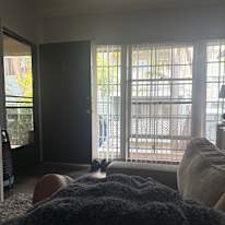 Anthony's room