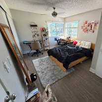 Meet's room