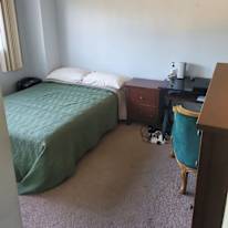 Lungile Excelent's room