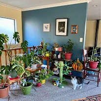 Dallas's room