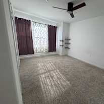 Lan's room