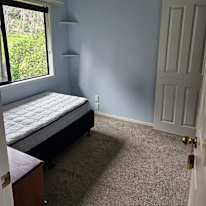 Shaun's room