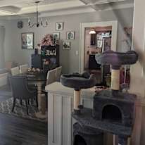 Whitney's room
