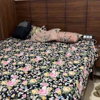 Shreya Agarwal's room