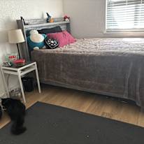 Vee's room