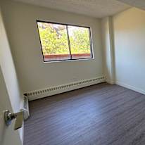 Jessie's room