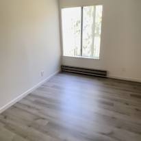 David's room