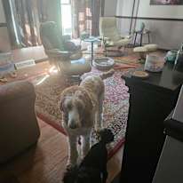 Rebecca Gruber's room