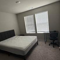 Rupa's room