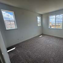 Mehrdad's room