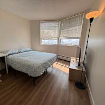 Habibullo's room