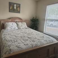 M Manuel's room