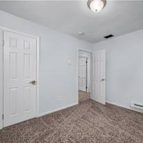 Shayne's room