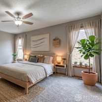 Shawn's room