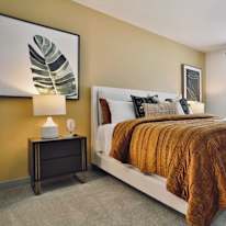 Alexa's room