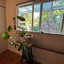 CG's room