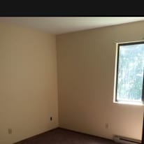 Shelby Norcross's room