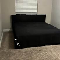N's room