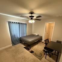 Roomly's room