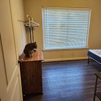 Matt's room