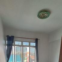 Rose's room