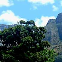 Louise's room