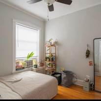 Spacious Room's room