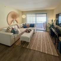Lily Ladin's room