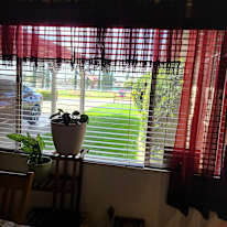 cheri lynn siple's room
