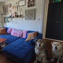 Lizzy Downes-Thom's room