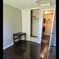 Andrew Wills's room