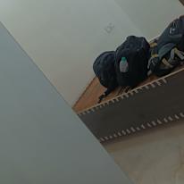 Som Tripathi's room