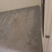 Zach's room