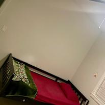 Lily's room