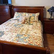 Anderson Elizabeth's room