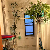 Todd's room