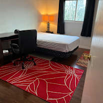 Saru's room