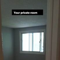 Matthew's room