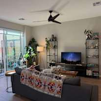 Noah's room