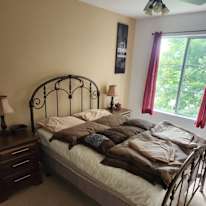 Daniel's room