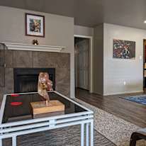 Colin's room