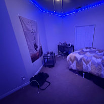 Neeil's room