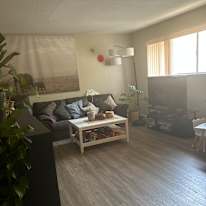 Patricia A L's room