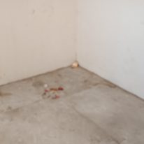 AKASHDEEP SINGH's room