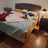 Barbara's room