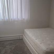 Barb's room