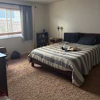 Cece's room