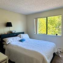 Jing's room