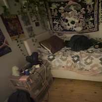 shantia solomon's room