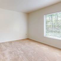 Cameron's room